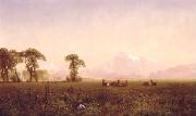 Elk Grazing in the Wind River Country, Albert Bierstadt